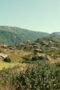 Nonton Film BEEF Season 1 Episode 10 Terbaru Nonton Film BEEF Season 1 Episode 10 Terbaru